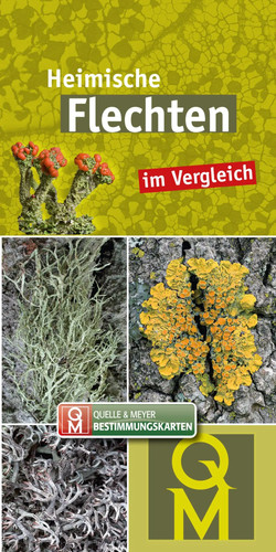 Heimische flechten im - heimische,