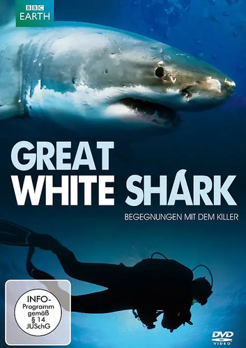 Great white shark begegnung - shark,