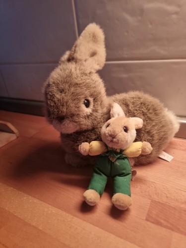 Hase osterhasen kaninchen - hase,