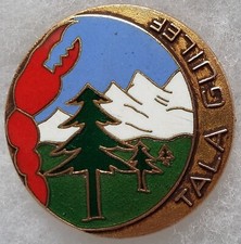 Abzeichen Commando AFN