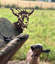 Ziege Ziegenkopf 29x28cm zum