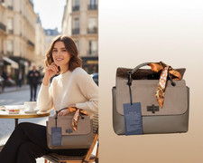 Desiderius, Blogger Edition