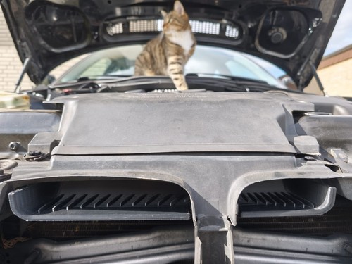 Für bmw e46 - bmw, kaltluft