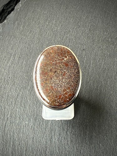 Bandring fossiler saurier - bandring,