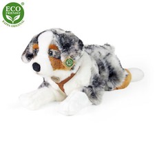 Australian Shepherd L=61 cm