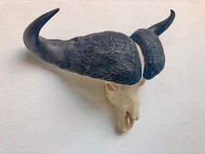 Kaffernbüffel Breite 89 cm