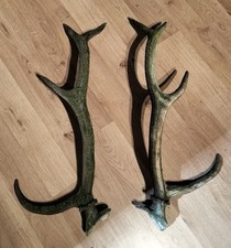 Abwurfstangen 1paar  82 cm