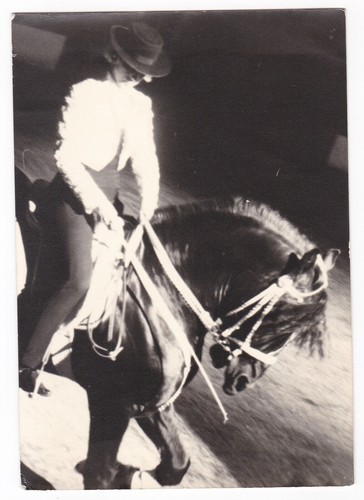 Jeanette williams cirque - jeanette,