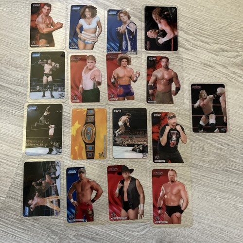 17x 2006 lamincards wwe - 17x,