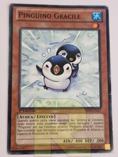 Gracile Pinguin / Puny