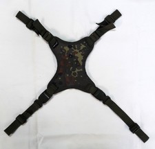 BW Gefechtshelmspinne