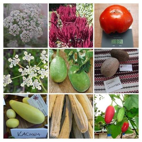 Hausgarten paket aus - hausgarten,