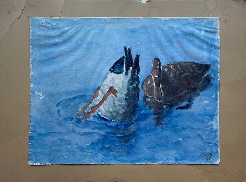 Aquarell enten auf - aquarell,