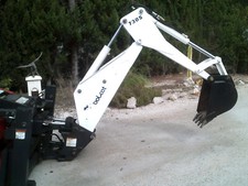 bobcat