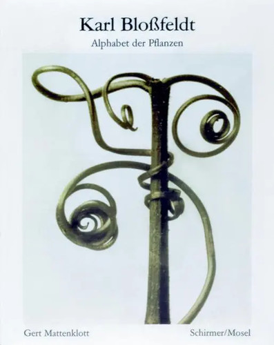 Alphabet der pflanzen - alphabet,