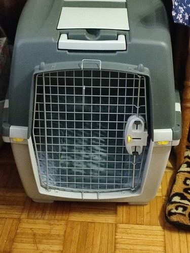 Hundetransportbox