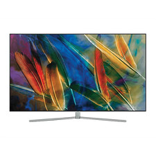 Samsung TV Modell 49 Zoll QLED
