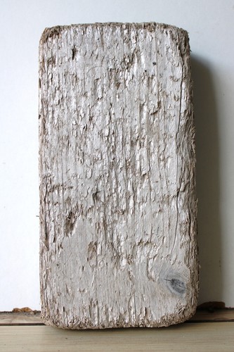 Treibholz schwemmholz - treibholz,