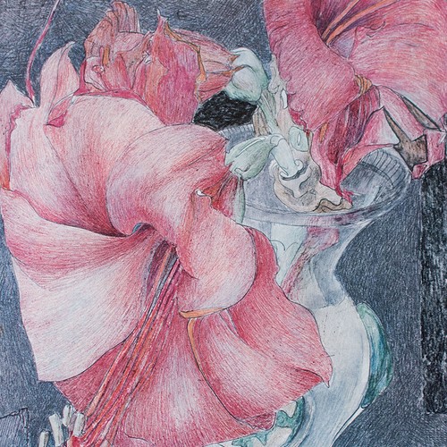 Horst janssen blumen amaryllis - janssen,