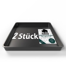 2 Stück Pflanzschale groß 60x60x7cm ideal für anzüchten, Pflanzen & mehr