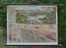 VINTAGE | SCHULWANDKARTE