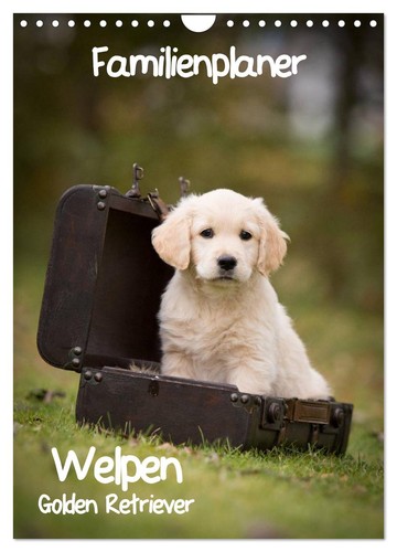 Familienplaner golden - familienplaner:,