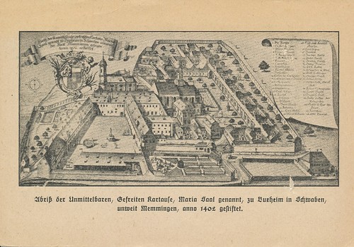 Buxheim marianum gl1901 - marianum,