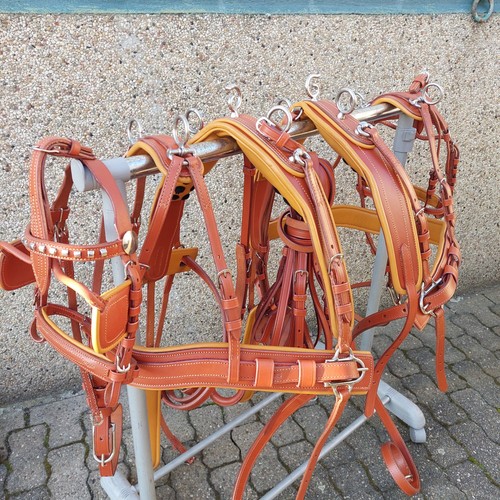 Top leder zweispänner - leder,