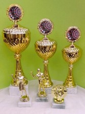 NEU 2025 Pokale Pokal Dart 6er