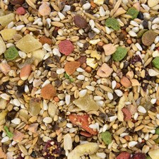 Papageienfutter mit Obst für Kakadus - 1 kg Saatenmischung Wagner's Mix Kakadus