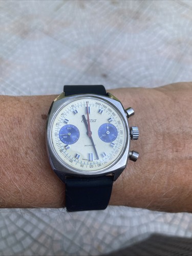 Exactus chronograph panda - exactus,