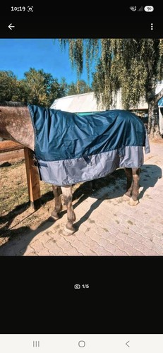 Equi thème tyrex high - high, neck