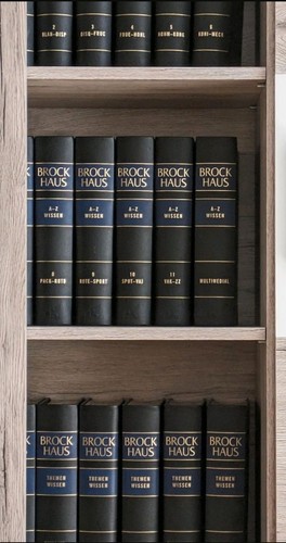 Brockhaus enzyklopädie - enzyklopädie, 12