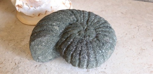 Schnecke tier teich aquarium - schnecke,