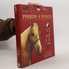 Pferde & Ponys  |  Tam