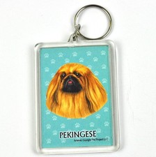 Süßer Hunde USA