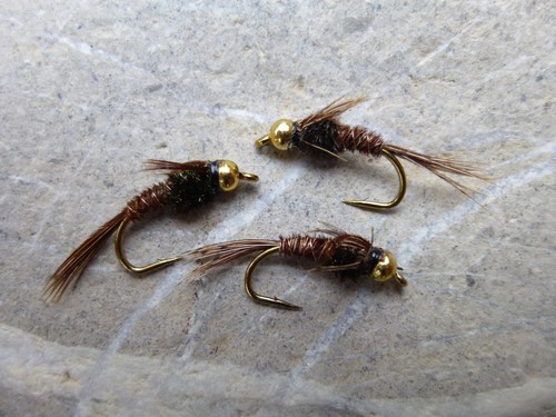 Goldkopf pheasant tail - 4, st.