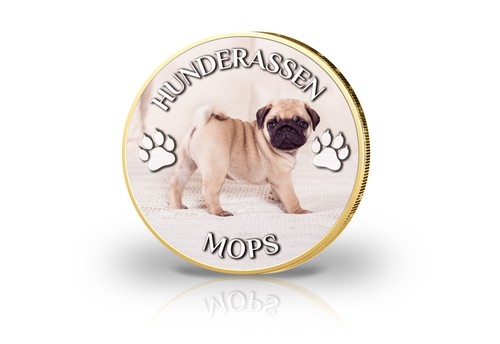 Euro vergoldet mops mit - 2,
