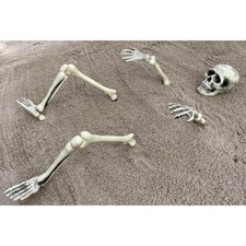 DEKO SKELETT MENSCH KNOCHEN
