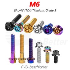 Titan Schrauben M6