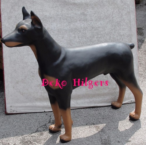 Dobermann lebensgroß stehend - dobermann,