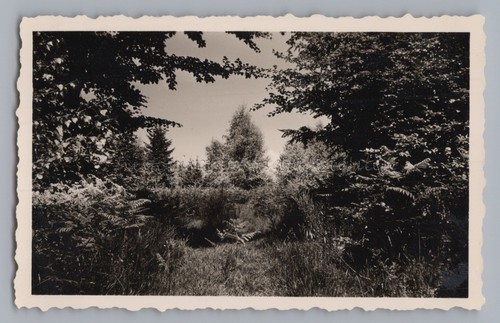 Gutach schwarzwaldbahn 1959 - gutach,
