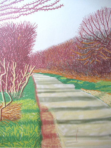 David hockney lithographie - hockney,