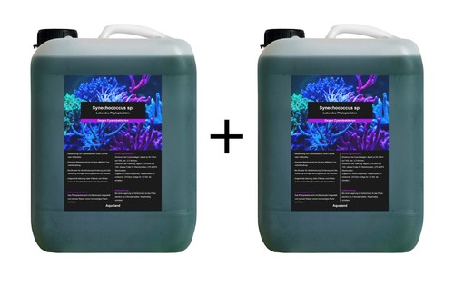 Liter phytoplankton - liter,