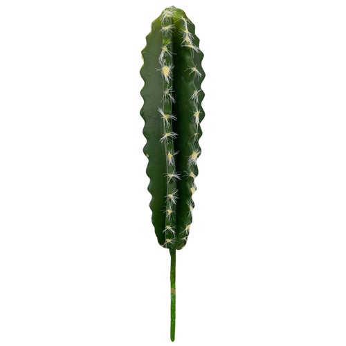 Kaktus zum stecken - kaktus,