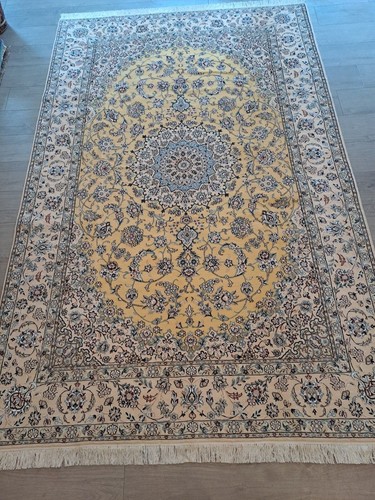 Persien nain golden teppich - persien,