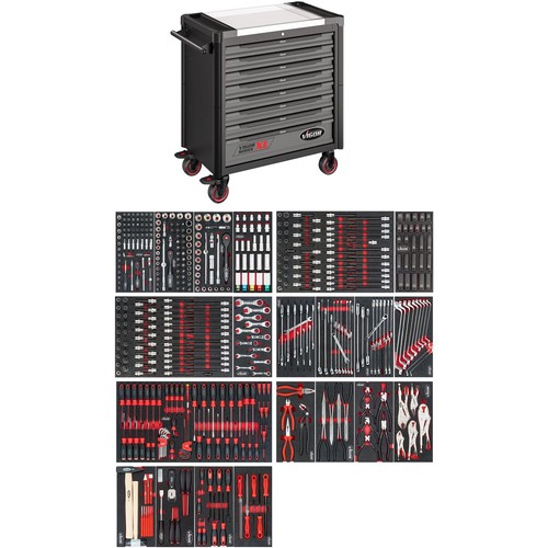 Vigor v4481 499 - vigor, v4481-x/499