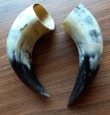 Kuh - Rinderhorn 2 Stück 