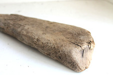 Schwemmholz Treibholz  Brett
