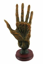Alchemy Mummified Palmistry